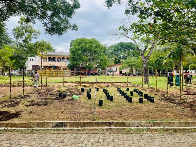 Home Gardening at Vavuniya District Secretariat-25.08.2022